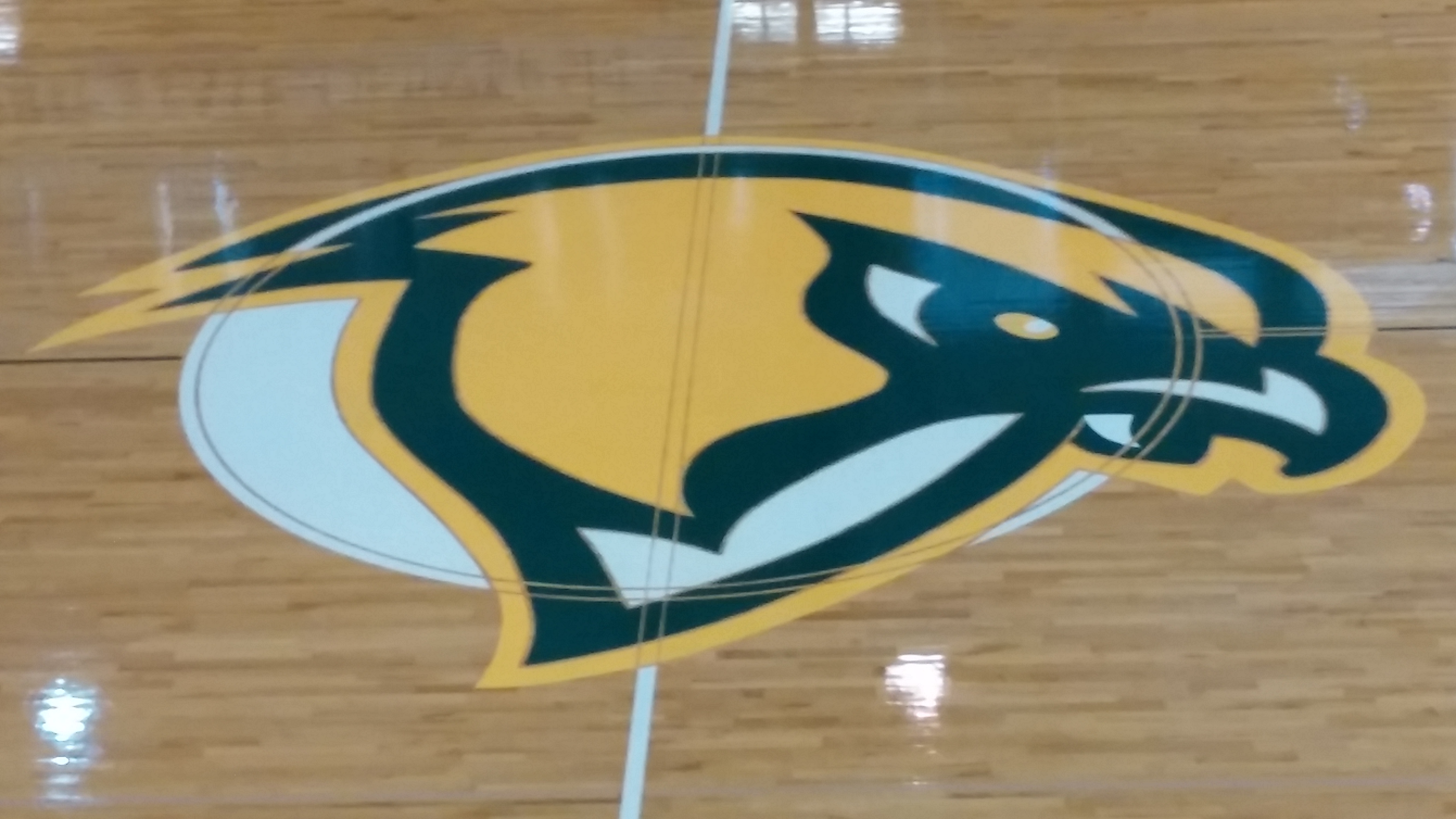 Logo - Falcon - Fitchburg State - Fitchburg MA.JPG