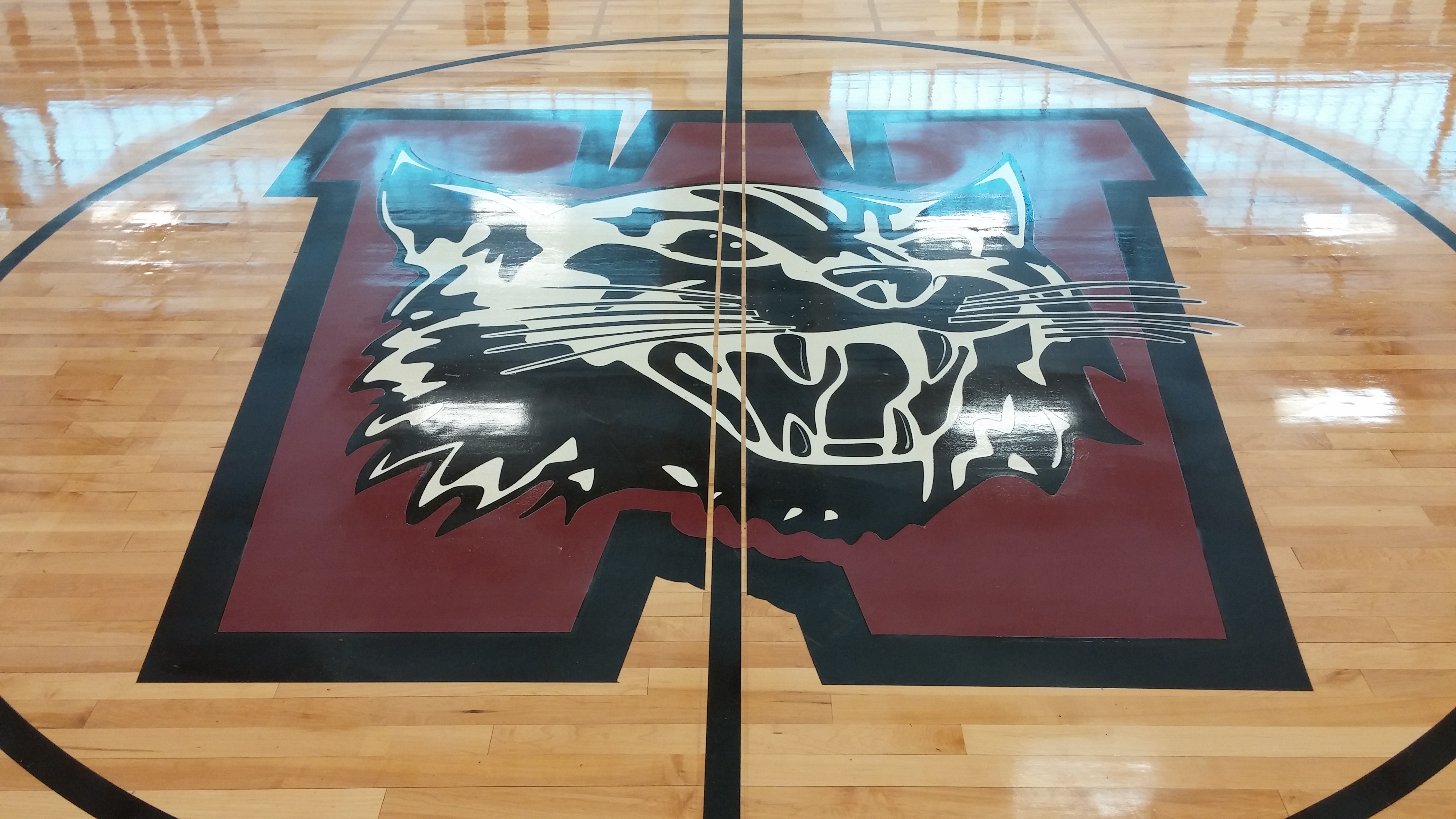 Logo - Wildcat - Weston High School - Weston MA.JPG