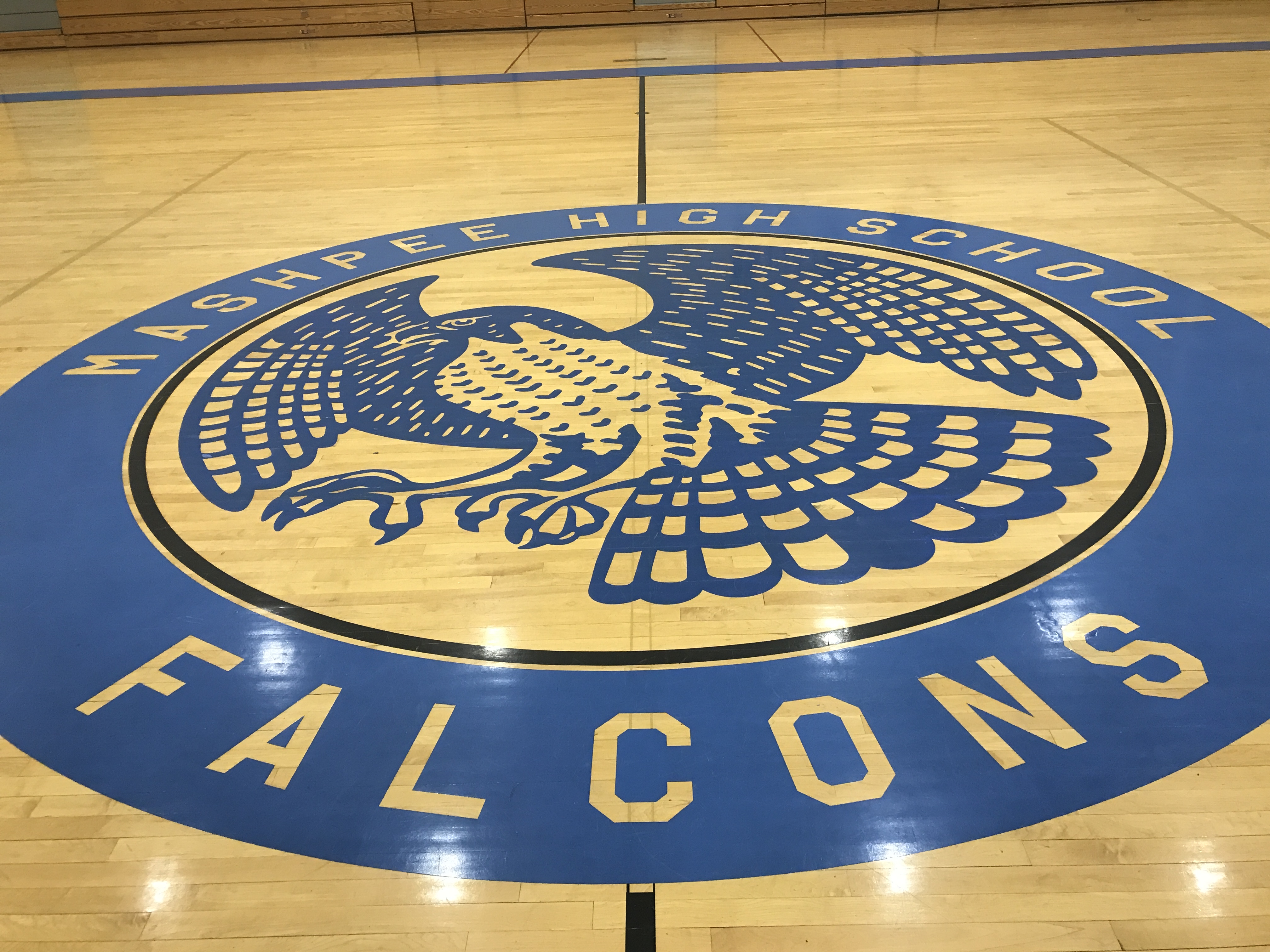 Logo - Falcon - Mashpee High School - Mashpee MA.JPG