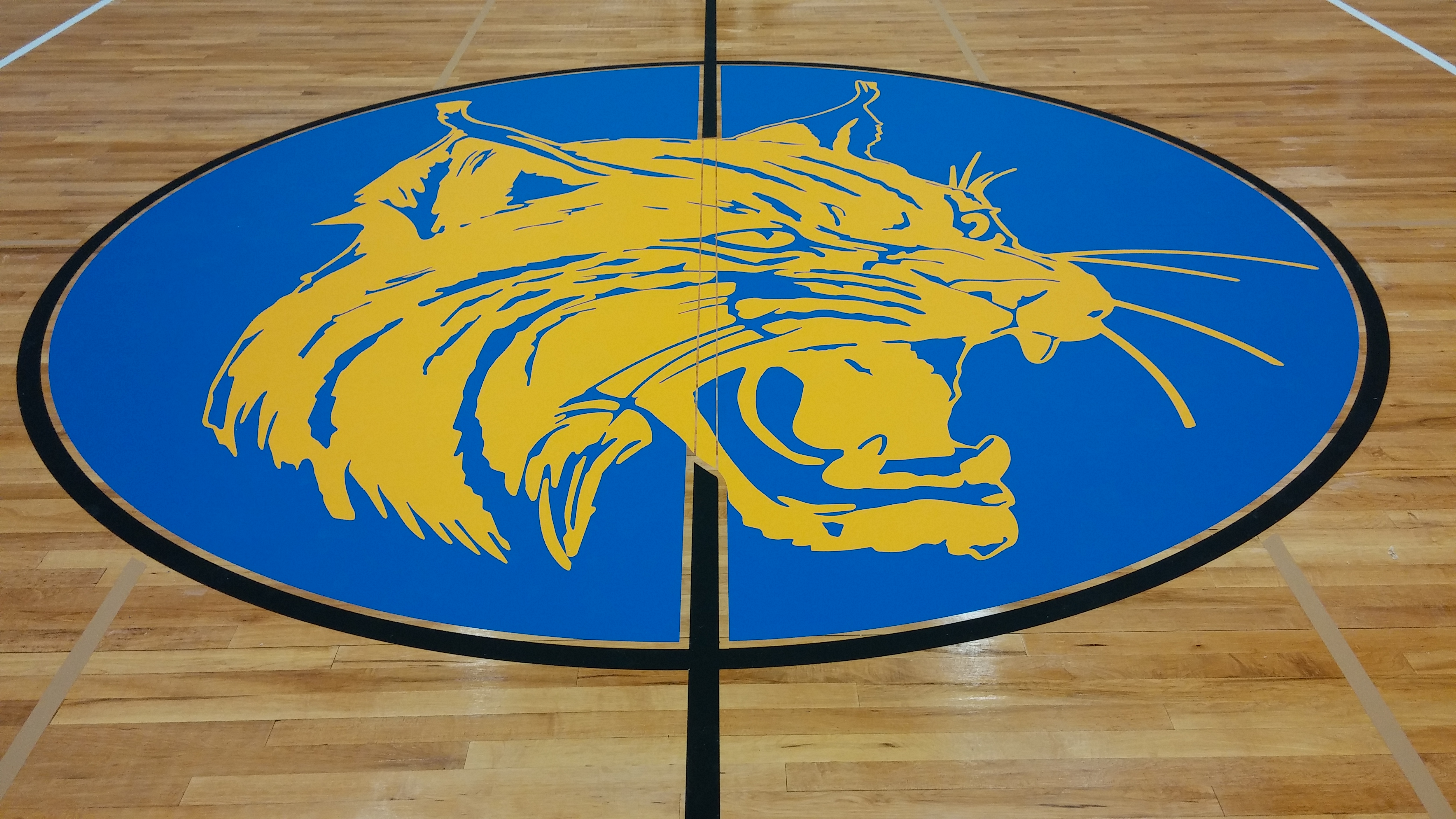 Logo - Wildcat - Brookfield CT.JPG
