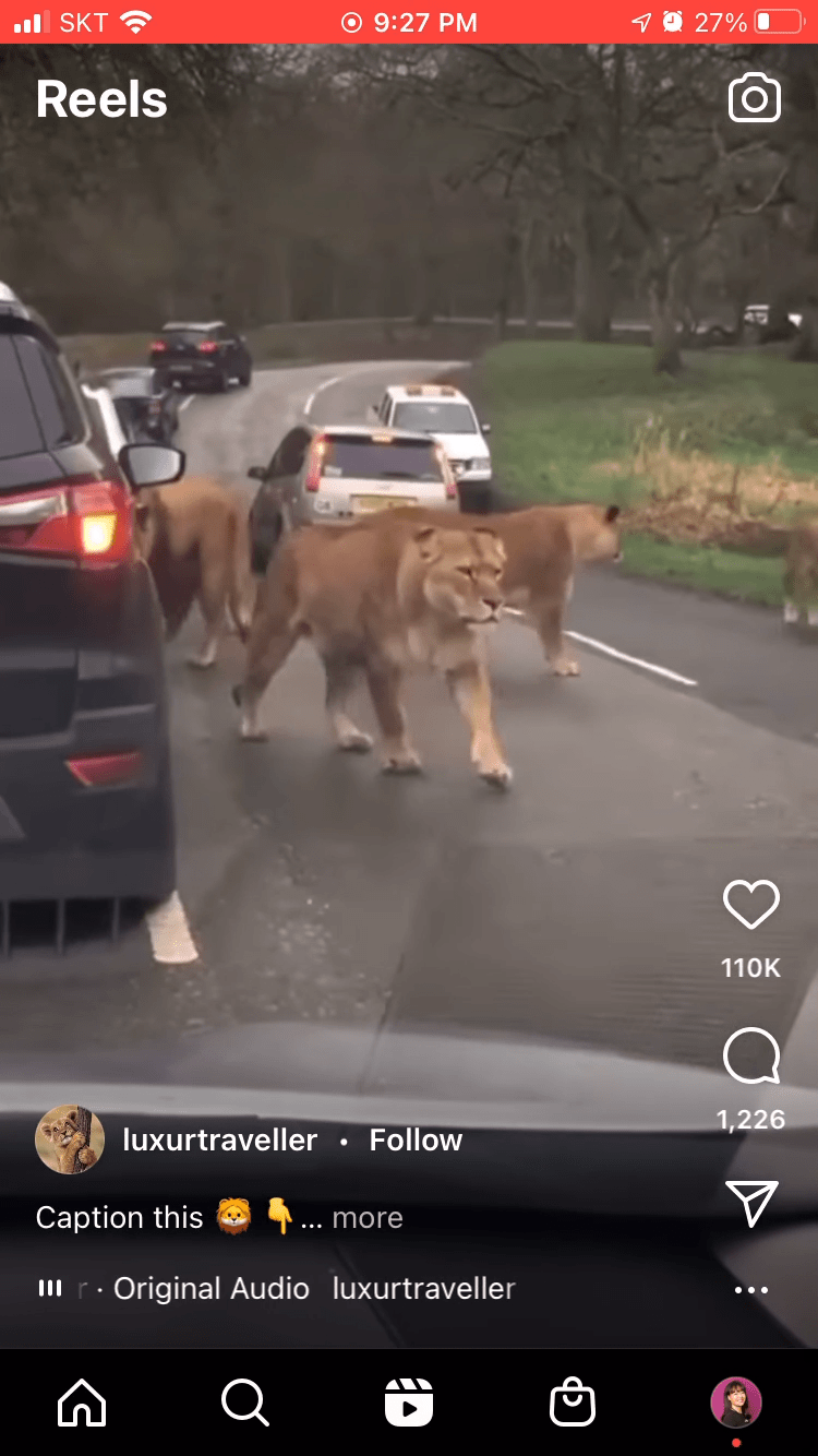 Instagram comments.gif