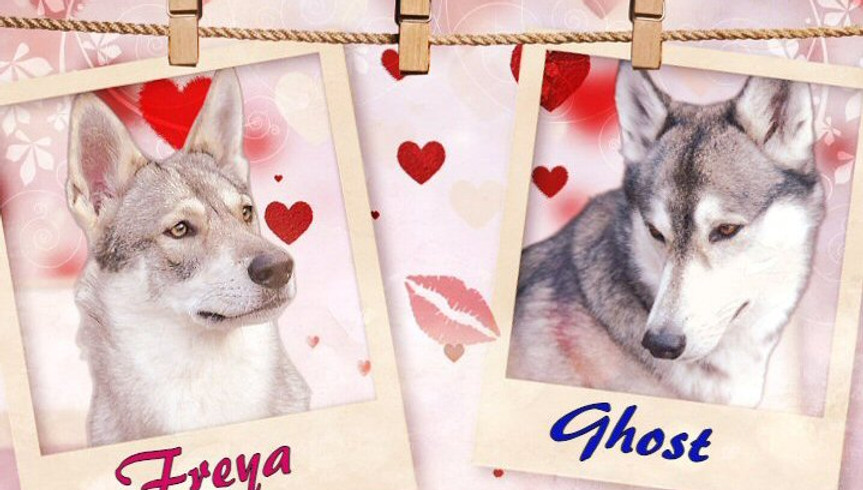 Freya & Ghost