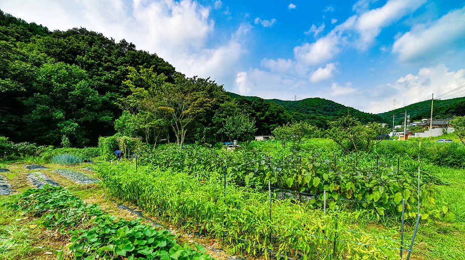 08MT_4045-HDR_크기변경_edited.jpg