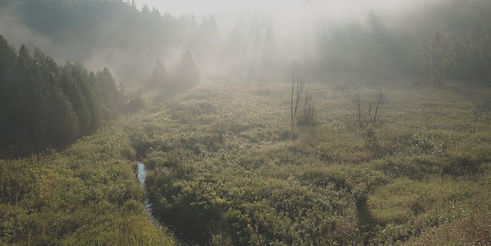 Oak-Ridges-Moraine-stream-and-meadow-©-Jason-Kalmbach-co-Ecospark-_-v3-1280x640_edited.jpg