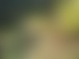 Vietnam – Tag 10 Mekong-Delta – Leben am und auf dem Wasser