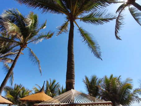 Vietnam Tag 15 - 20 + Ankommen in Deutschland