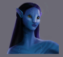 COLOR STUDY