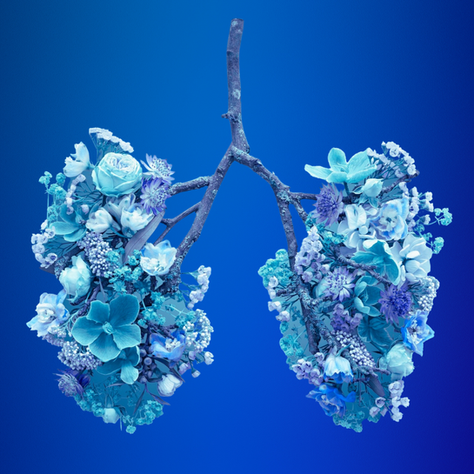 Dotlenienie organizmu