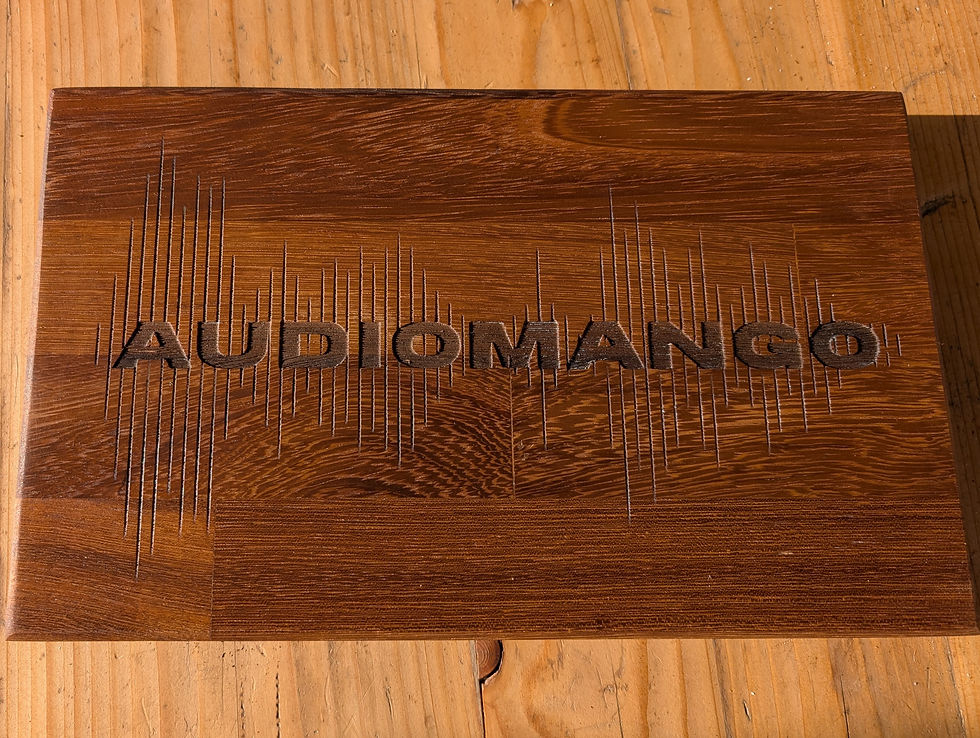 PXL_20250227_152439927