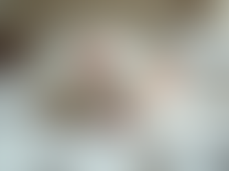 Caring for Cream British Kittens Care: A Practical Guide