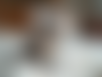 Exploring Emnorsica British Shorthairs: A Trusted Cattery