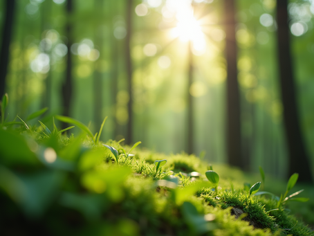 Bí Quyết Tạo Dựng Thương Hiệu Bền Vững