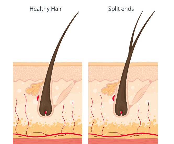 The Importance of a Proper In-Salon Routine Series- 1