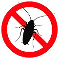 simbolo blatte