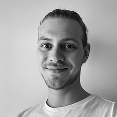 Niklas von Wittenburg.png