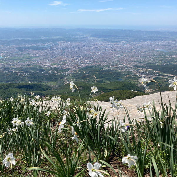Frühling in Albanien