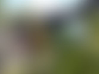 DEMNÄCHST mehr zu: WANDERTIPP Böhmische Schweiz