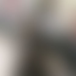 DEMNÄCHST mehr zu: Zwergenspaziergang in Wrocław