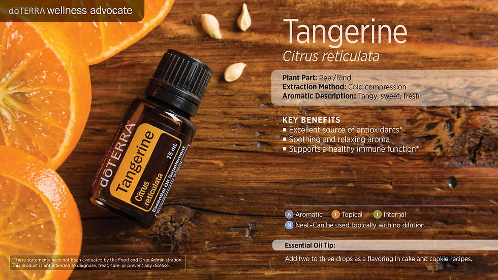 Thumbnail: Tangerine 红橘精油 15ml