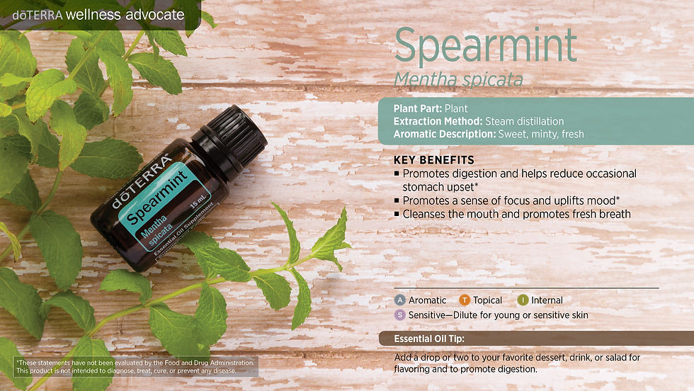Thumbnail: Spearmint 绿薄荷精油 15ml