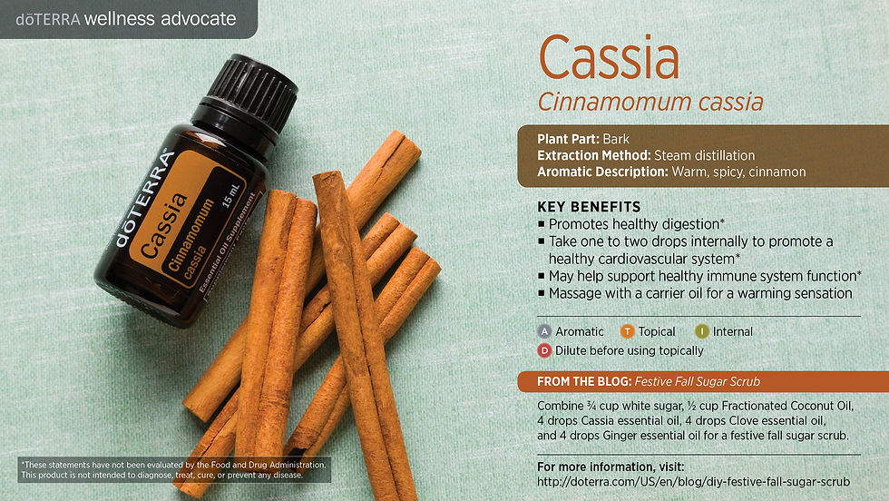 Thumbnail: Cassia 桂皮精油  15ml