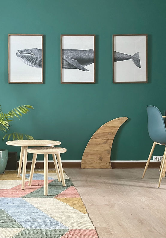 REMOTE FOTO 14 _edited_edited.jpg