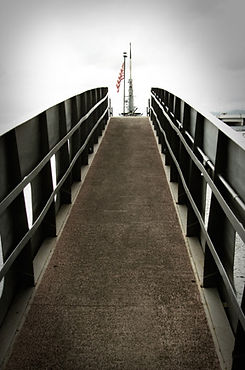 pic16.jpg