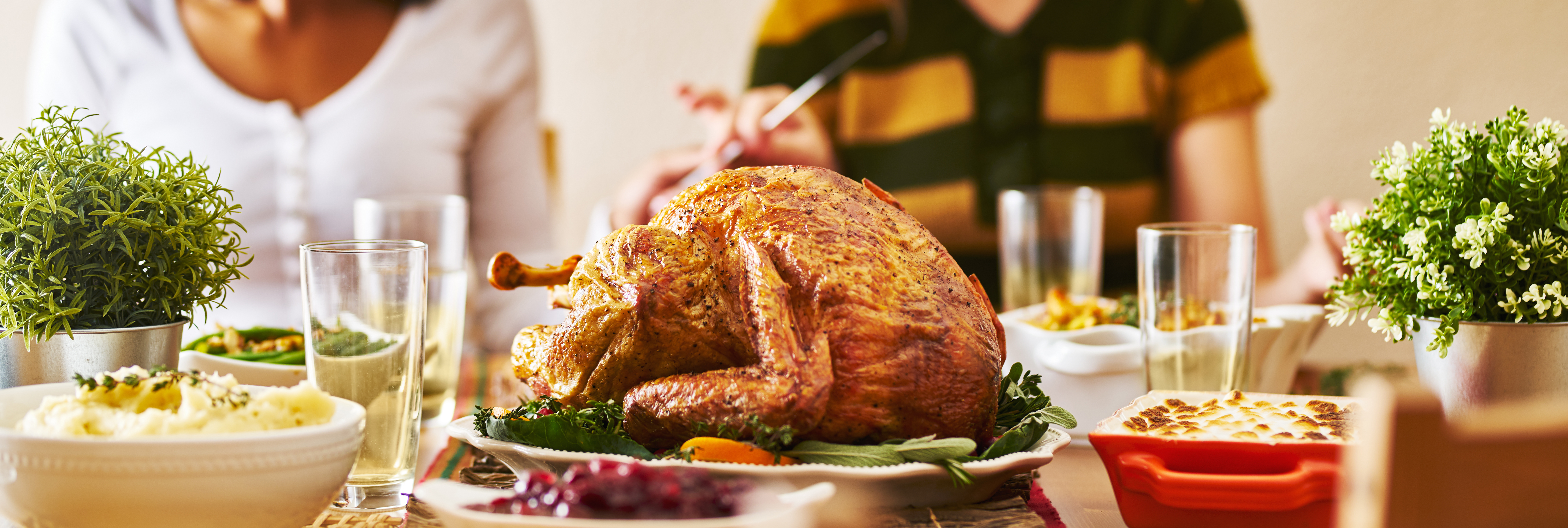 Arranged Food and Objects