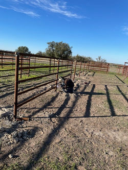 Livestock Fencing