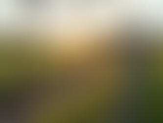 Transform Your Property with Professional Fence Setup