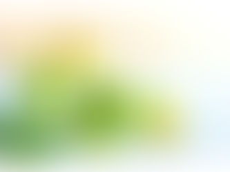 BATIDO DEPURATIVO PARA ADELGAZAR