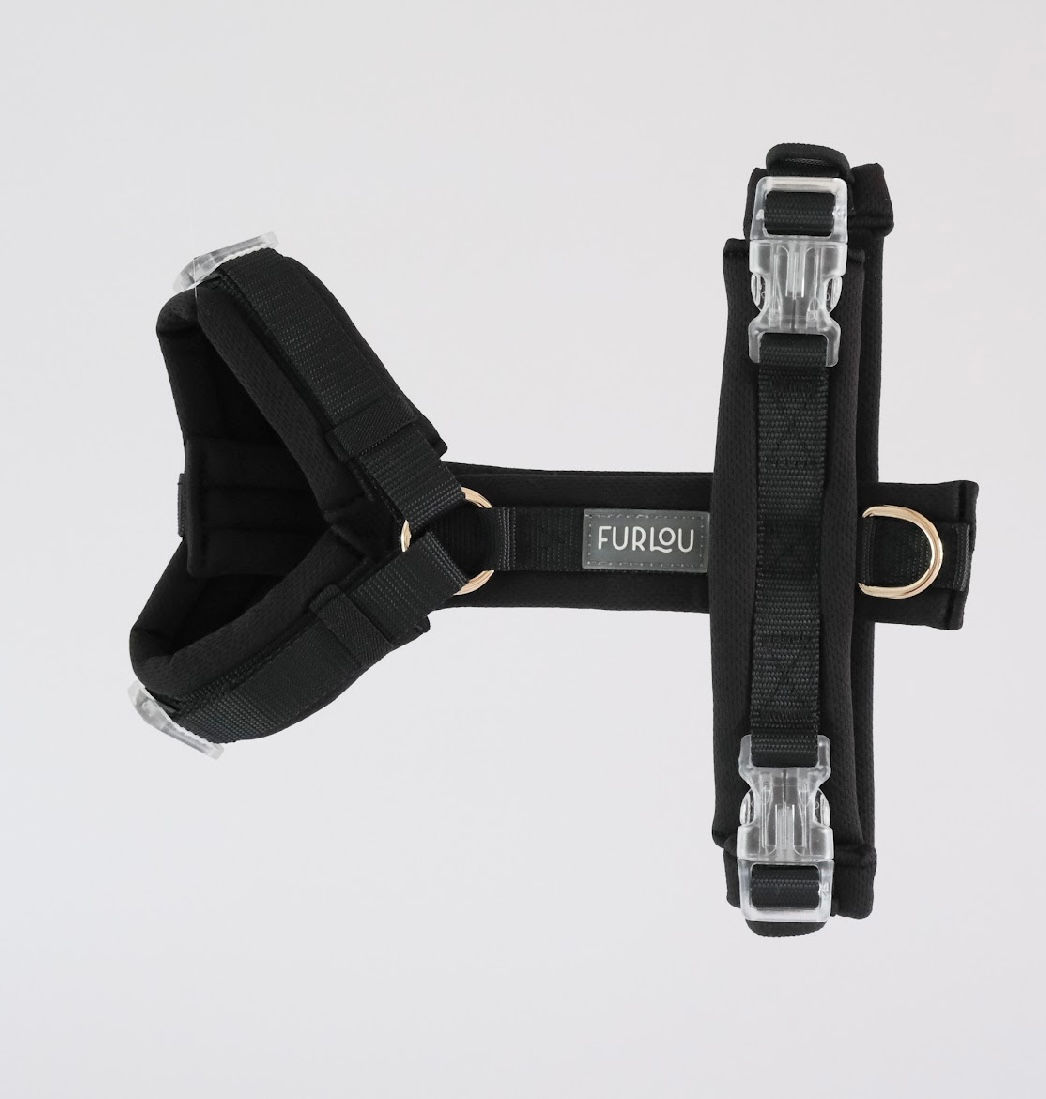 JET BLACK HARNESS