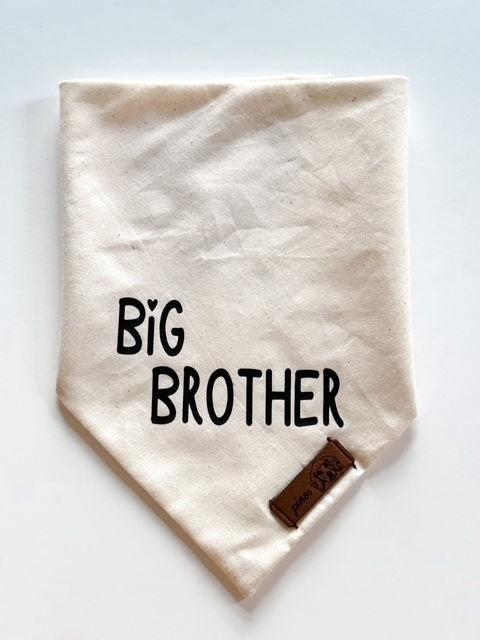Big Brother