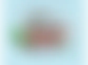 Understanding the Process: A Home Inspection Explanation