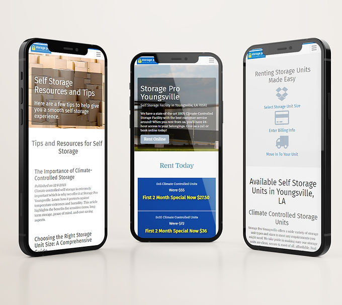 StoragePro Website.jpg