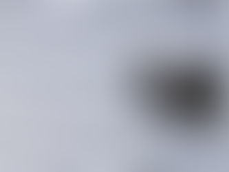 A disc lock on a climate controlled self storage unit in Oakwood, GA near Lake Lanier, providing an extra layer of security