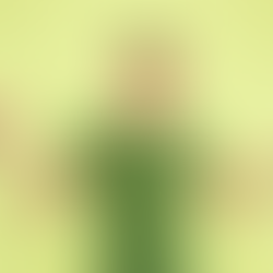 👉 How to Start a Business as a Teenager?