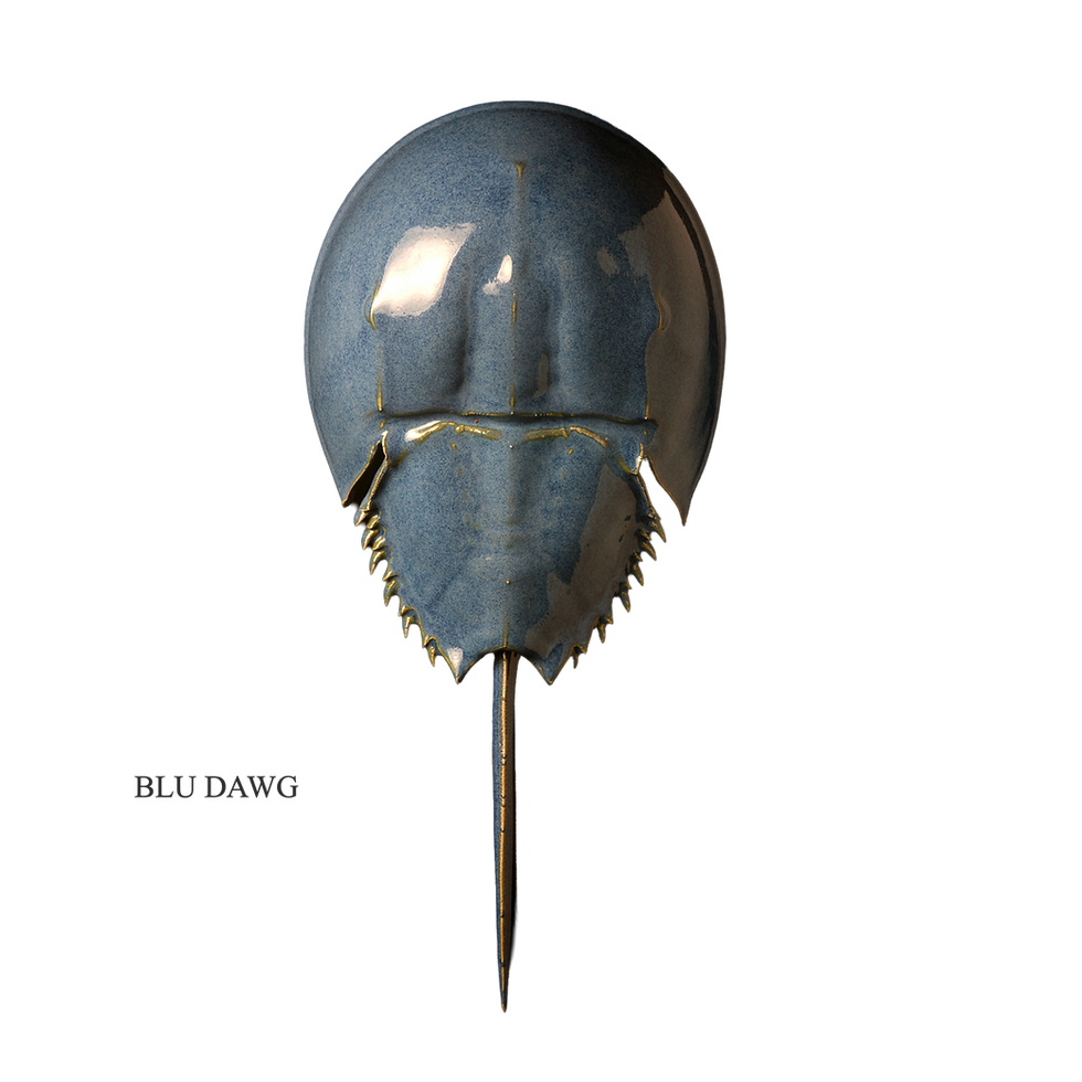 Thumbnail: Ceramic Horseshoe Crabs by Mark Rea