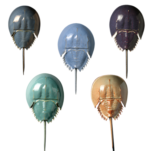 Ceramic Horseshoe Crabs by Mark Rea | Fourwindscraftguild