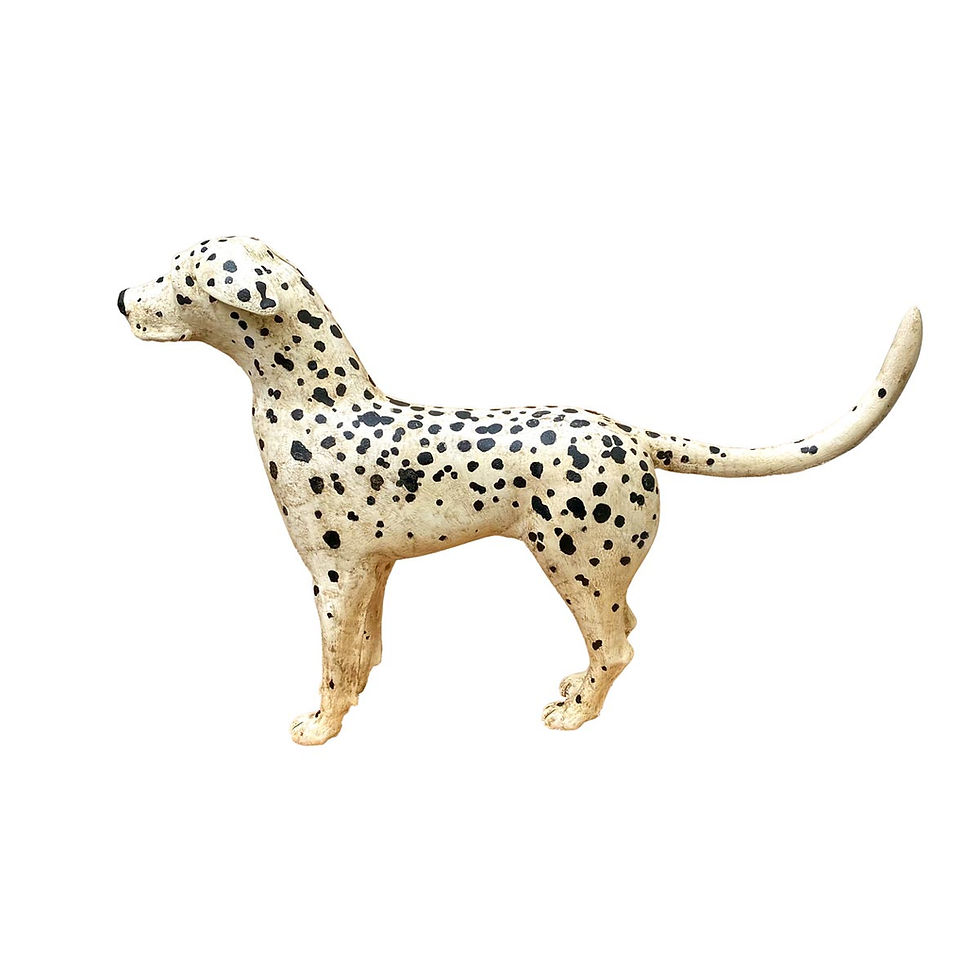 Thumbnail: Dalmation by Frank Finney