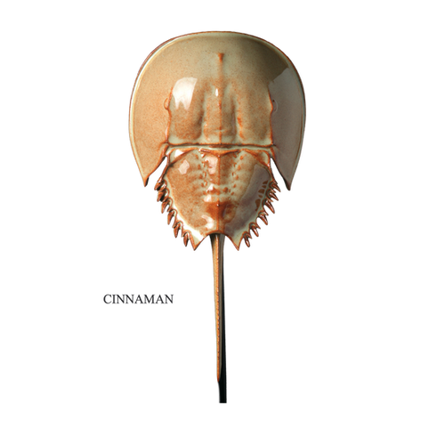 Ceramic Horseshoe Crabs by Mark Rea | Fourwindscraftguild