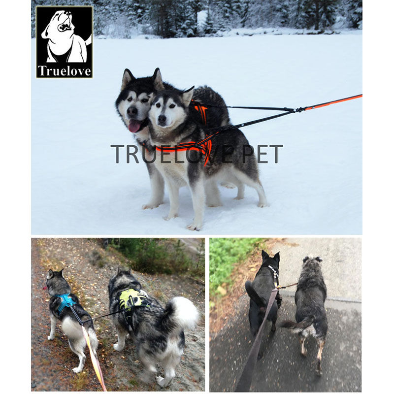 Thumbnail: Truelove double nylon leash for two dogs, tangle-free coupler, collar