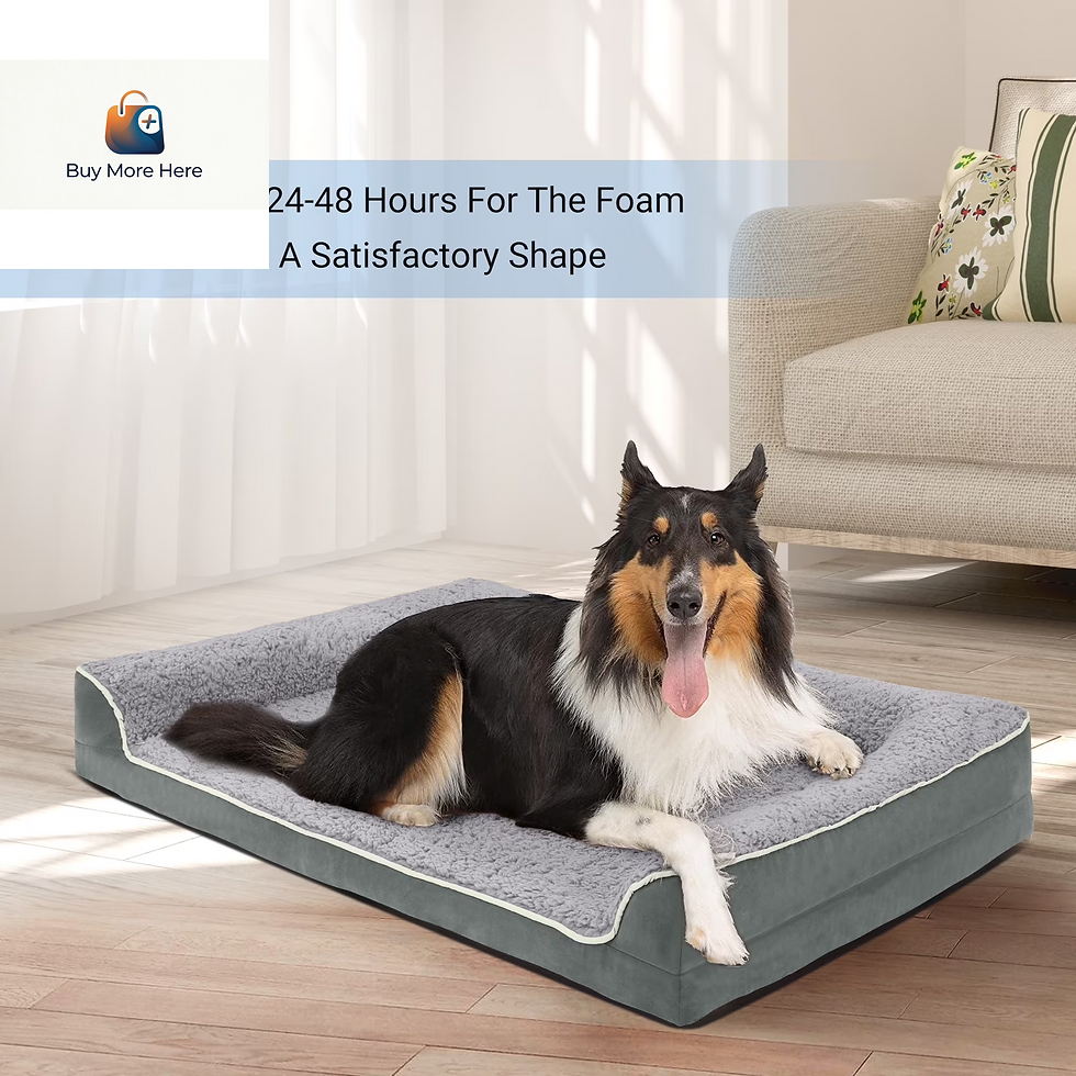 Thumbnail: Dog Bed for Large Medium Small Dogs Orthopedic Dog Sofa Bed Non Slip Pet Couch w