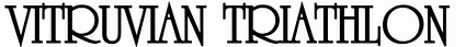 vitruvian logo
