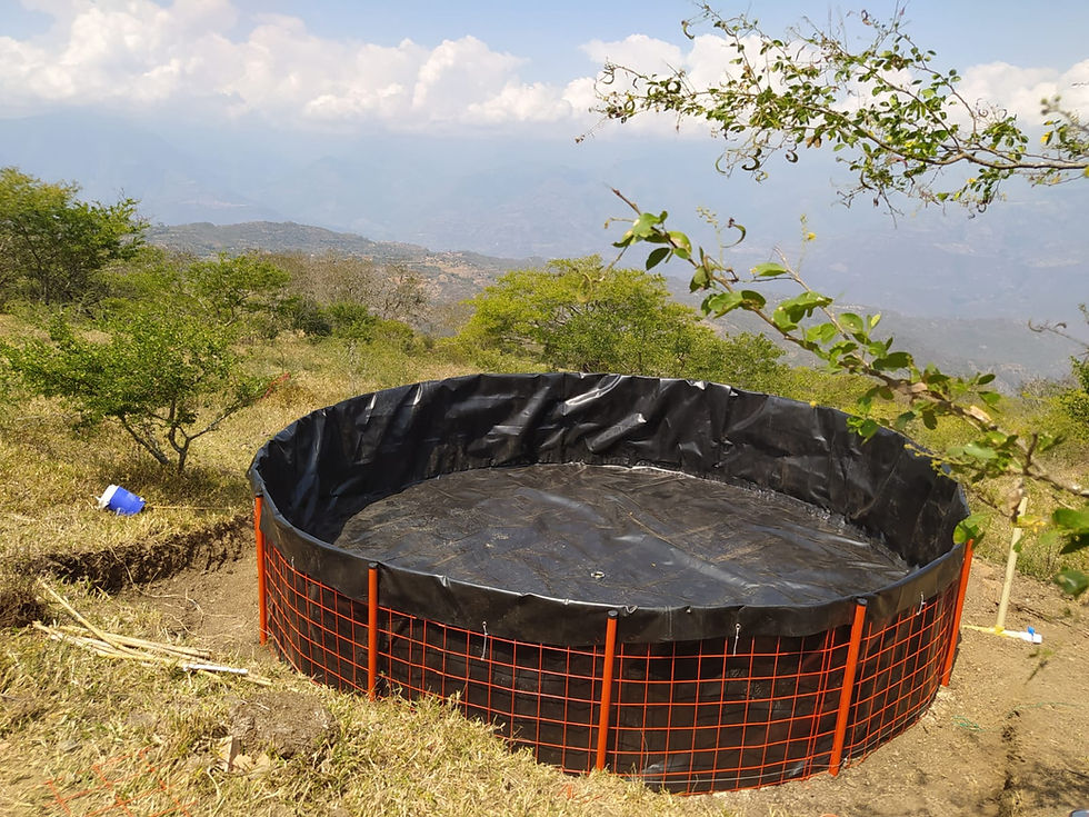 Tanques tipo zamorano