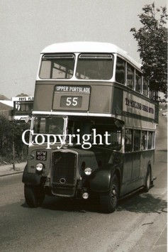 Brighton Hove & District No. 495 MPM495