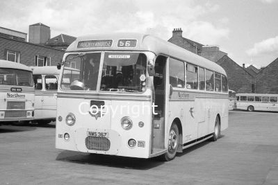 Alexander (Northern) No. NAC156 NMS367