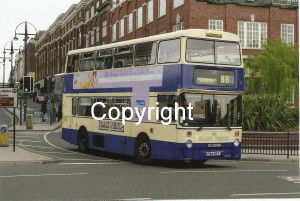 Black Prince No. 461 FWH461Y