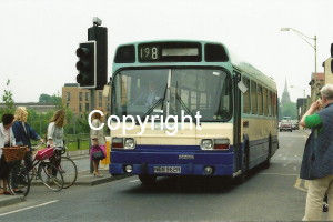 Cambus No. 250 NEN962R - orig. GMPTE