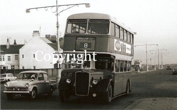Brighton Hove & District No. 469 JAP507 (n/s)